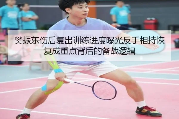 樊振东伤后复出训练进度曝光反手相持恢复成重点背后的备战逻辑